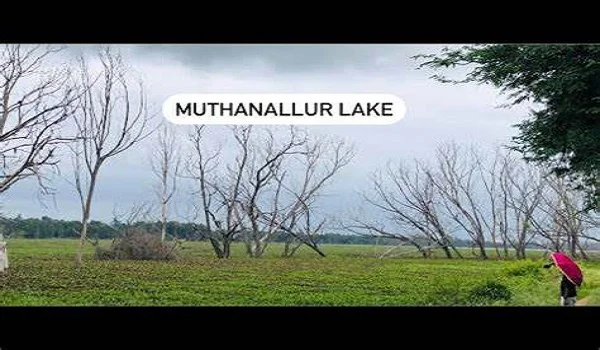 Featured Image of Muthanallur Lake